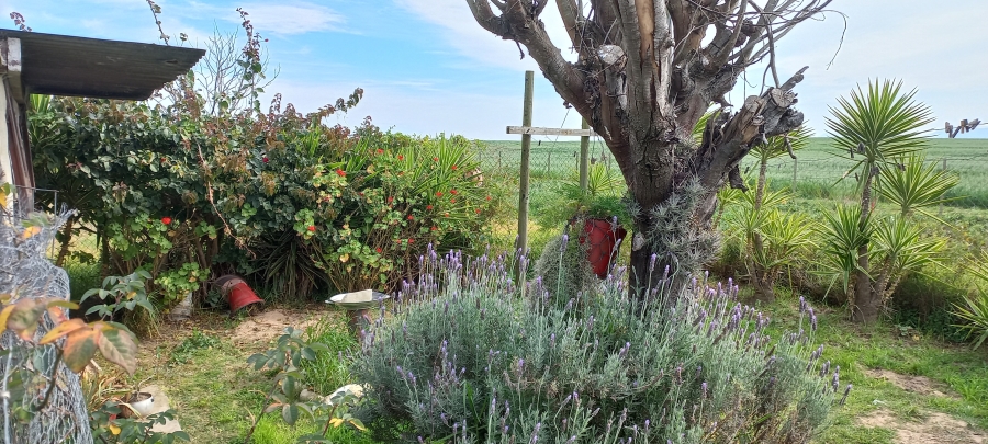 2 Bedroom Property for Sale in Theronville Western Cape